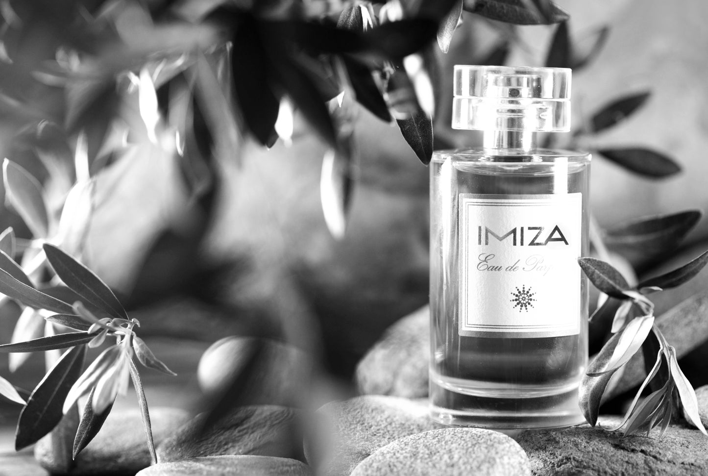 IMIZA x Parismamma